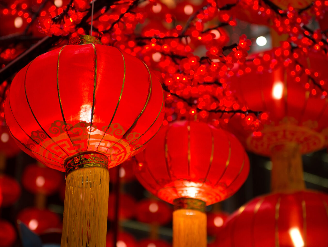 The Lantern Festival