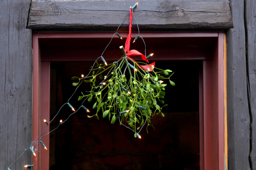 a bundle of mistletoe hanging in front of an open door