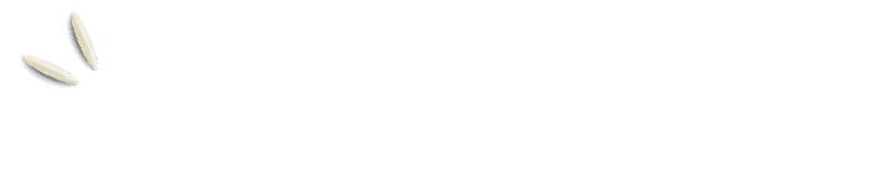 Elevate-Your-Plate